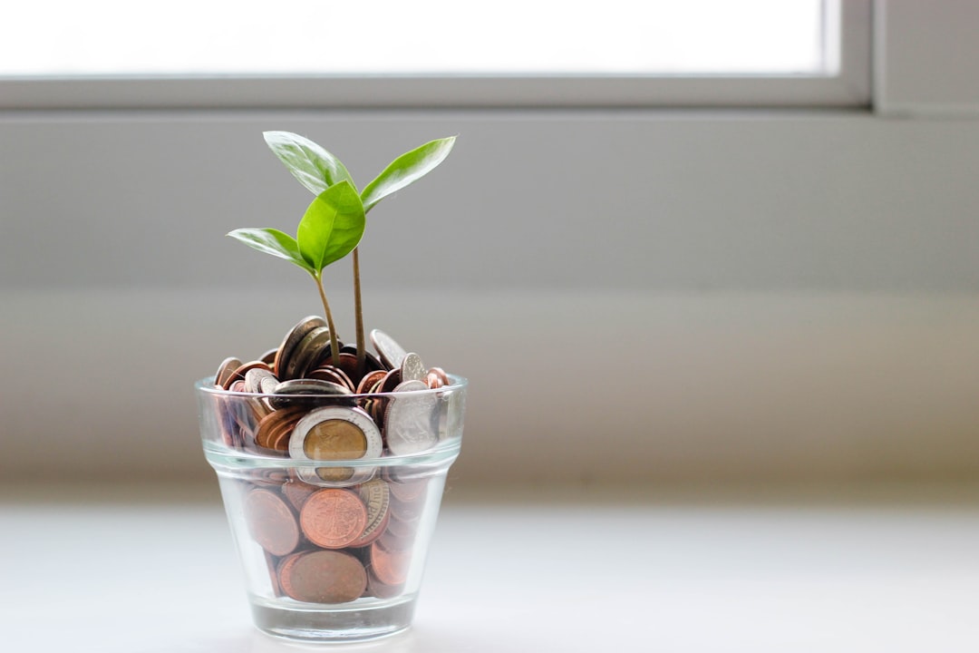 Ahorro: Estrategias para mejorar tu bienestar financiero hoy